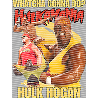 idol singer-GS  2684